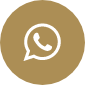 WhatsApp Icon